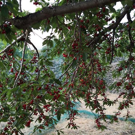 Alle Pendici Dell'Etna Ragalna Ngoại thất bức ảnh