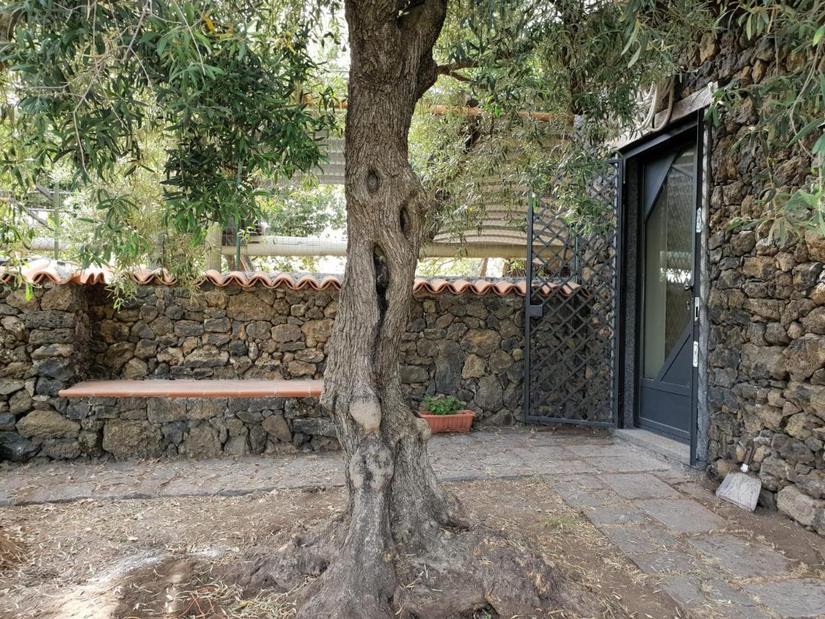 Alle Pendici Dell'Etna Ragalna Ngoại thất bức ảnh